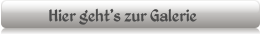 Hier geht's zur Galerie